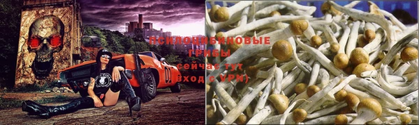крисы Осташков