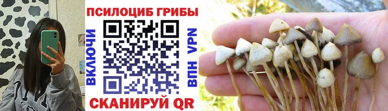 сколько стоит  Славск  MEGA ссылка  Галлюциногенные грибы Psilocybine cubensis 