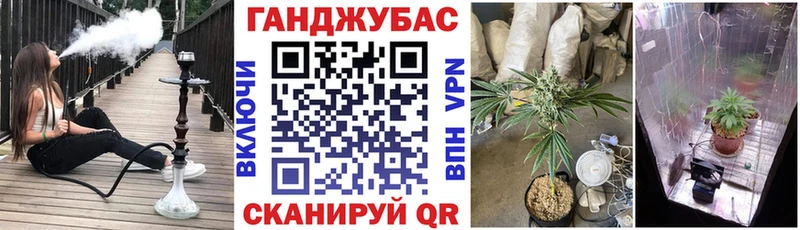 Конопля планчик  Славск 